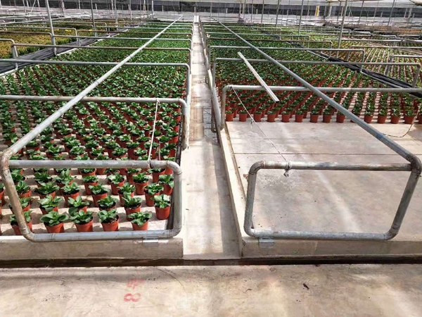 微信图片_202008221707136