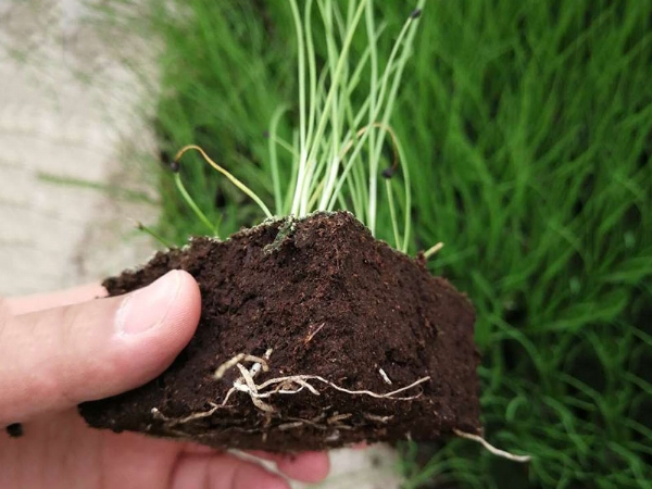 微信图片_2020082217134119