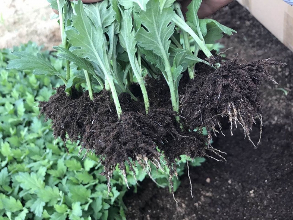 微信图片_2020082217134112