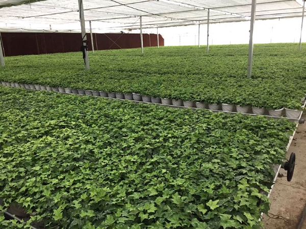 微信图片_2020082217134116