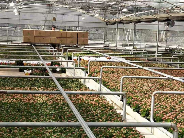 微信图片_202008221707135